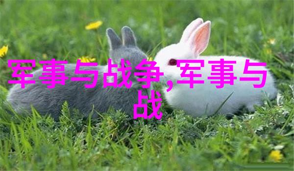 蒙元兴衰为何蒙古帝国迁都北京后100来年轰然坍塌